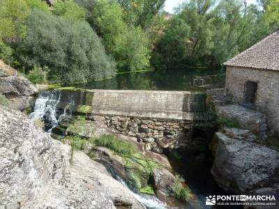 Cañones del Río Cega y  Santa Águeda  – Pedraza;rutas en avila parque natural hayedo de tejera